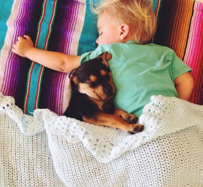 Bebês e animais: Amigos inseparáveis!