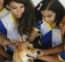 “Respeito aos Animais” é incluído no currículo